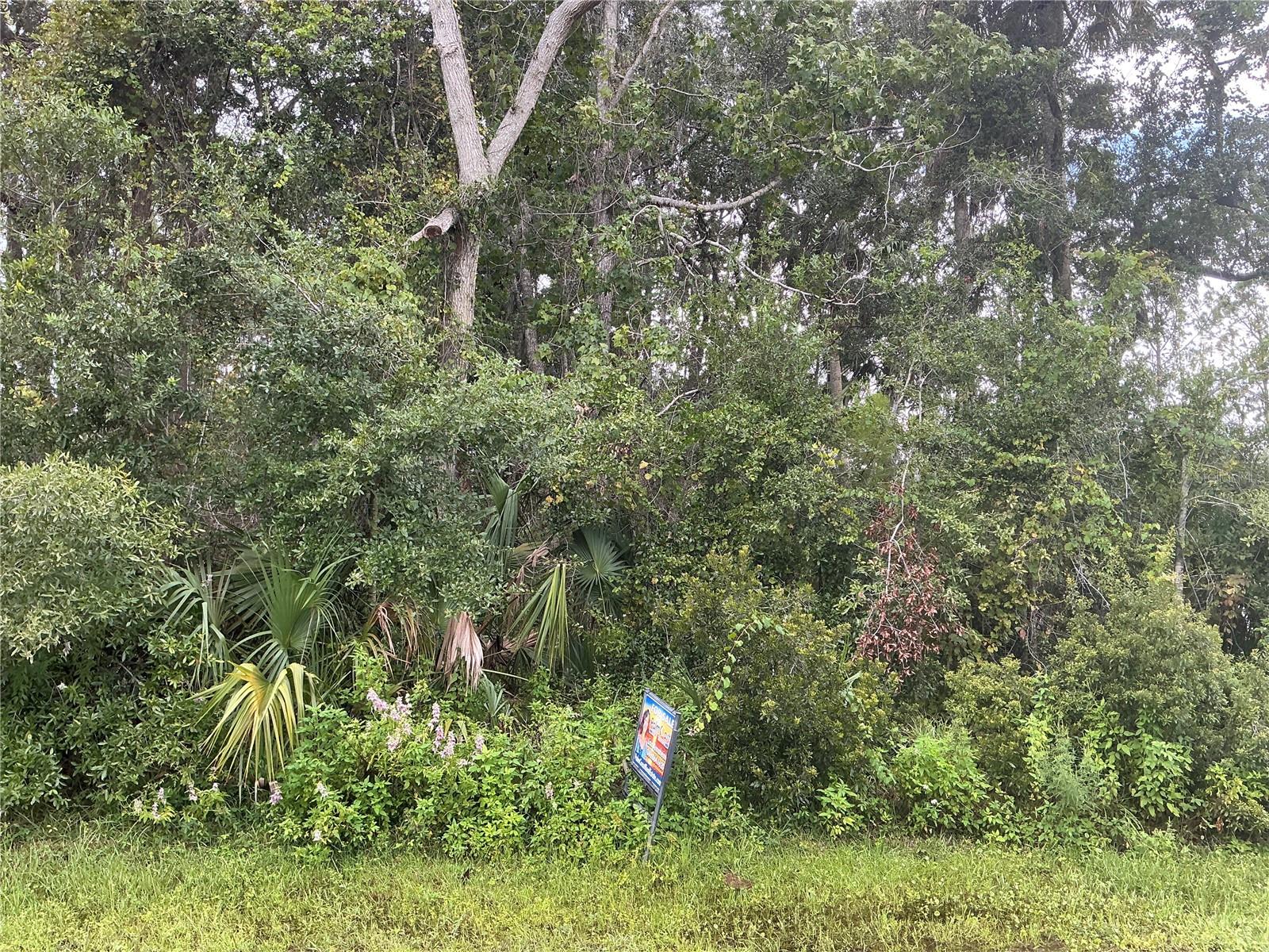 PALM COAST SEC 25 - Land
