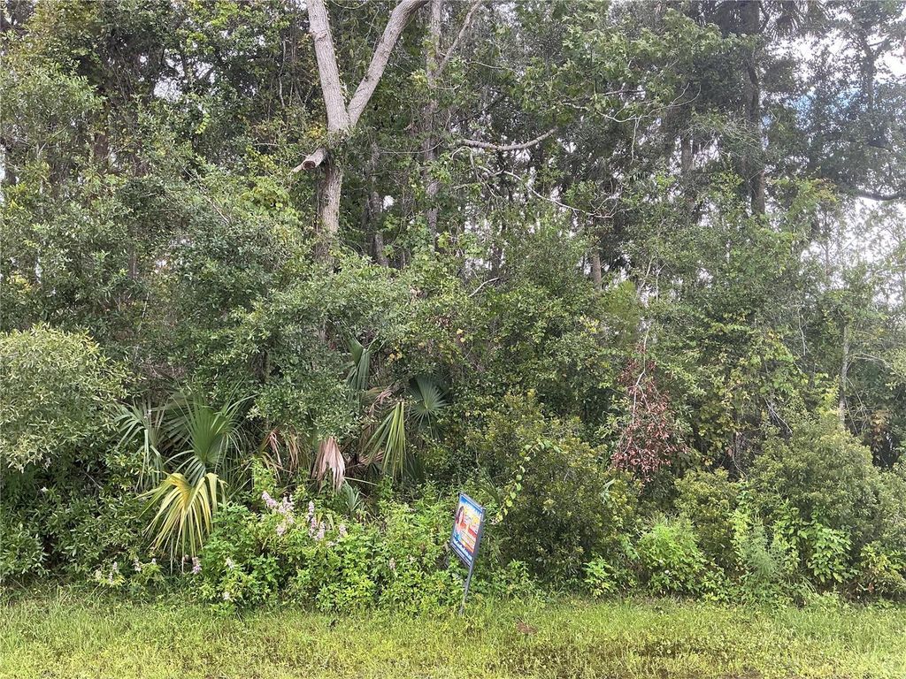 Photo of 91 Palmwood Drive, Palm Coast, FL 32164 (MLS # OM710795)
