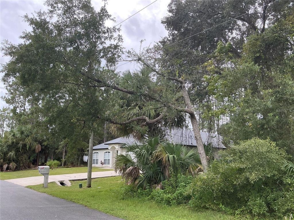 Photo of 91 Palmwood Drive, Palm Coast, FL 32164 (MLS # OM710795)
