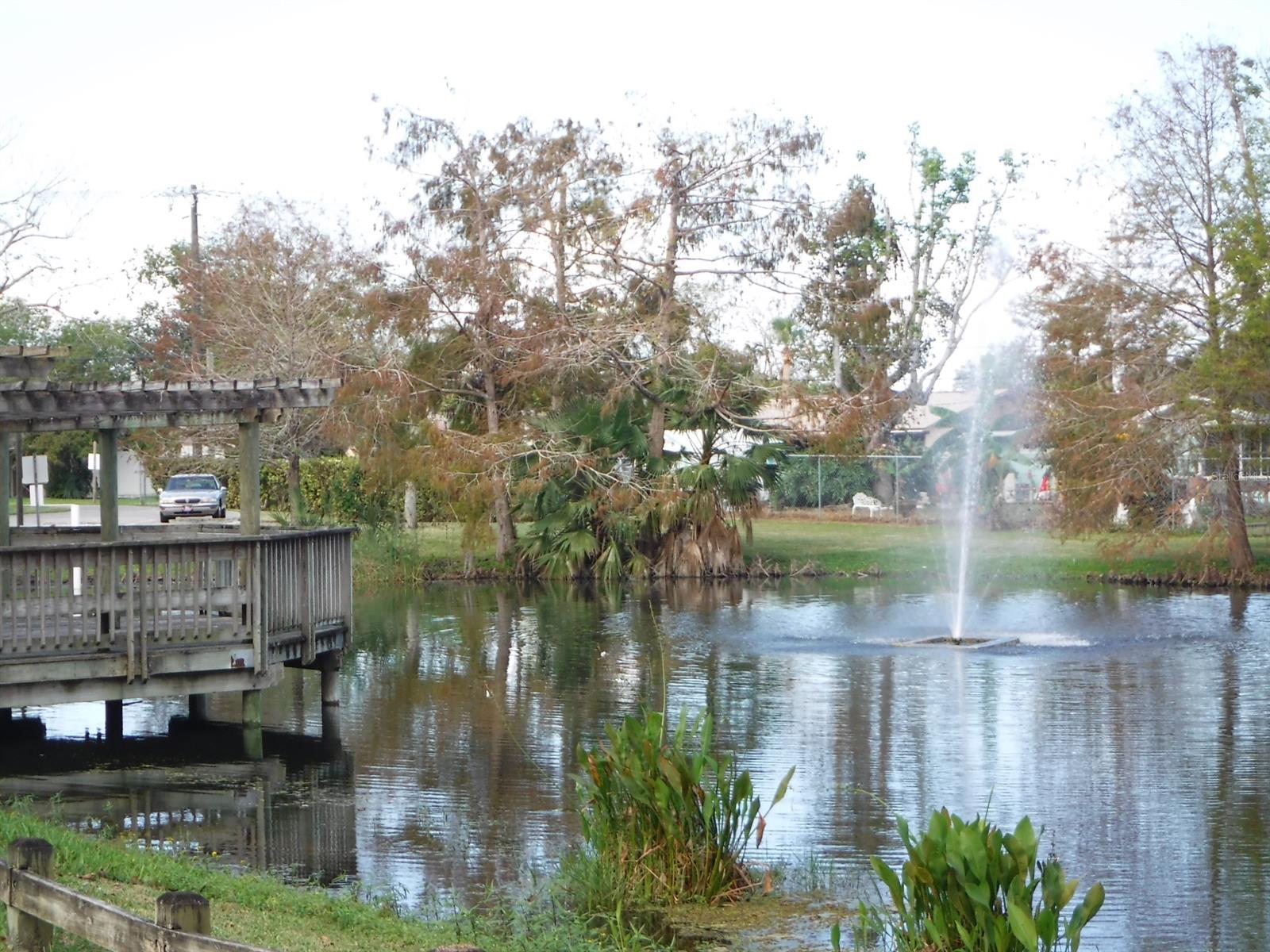 Big Tree Village Duplexes - Residential