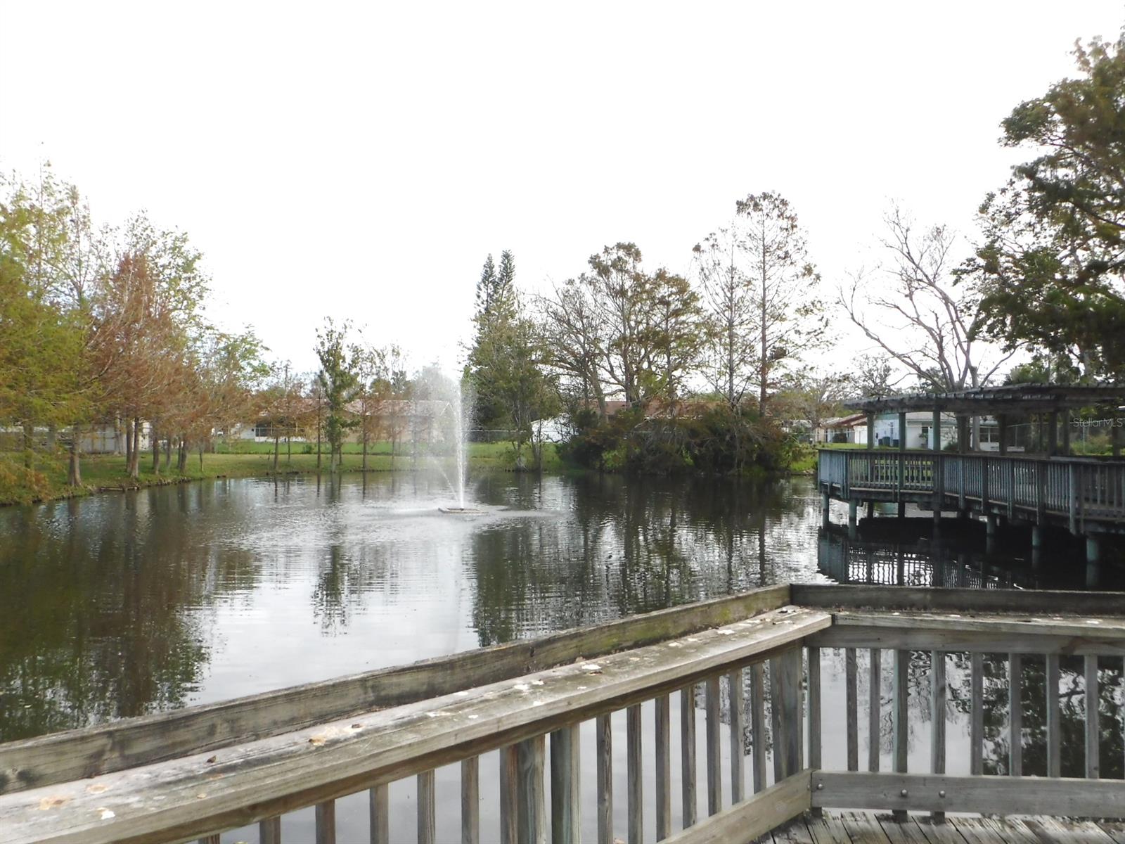 Big Tree Village Duplexes - Residential