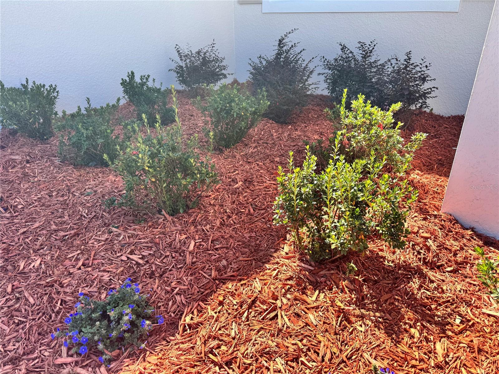 CITY OF DADE CITY - Residential