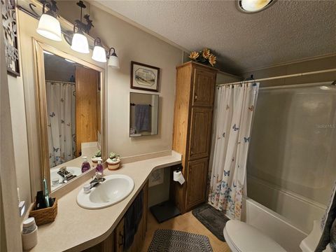 Tiny photo for 7050 SE County Road 337, Morriston, FL 32668 (MLS # OM710219)