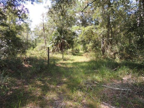 Tiny photo for 7050 SE County Road 337, Morriston, FL 32668 (MLS # OM710219)