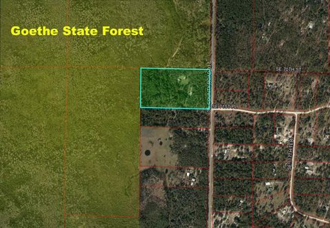 Tiny photo for 7050 SE County Road 337, Morriston, FL 32668 (MLS # OM710219)