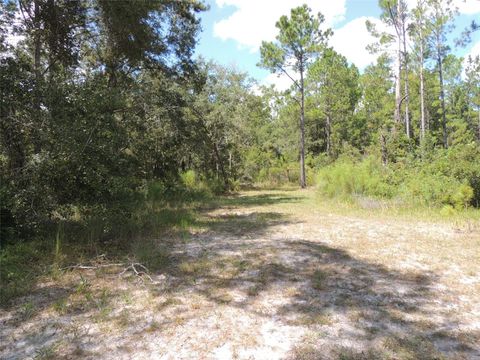 Tiny photo for 7050 SE County Road 337, Morriston, FL 32668 (MLS # OM710219)