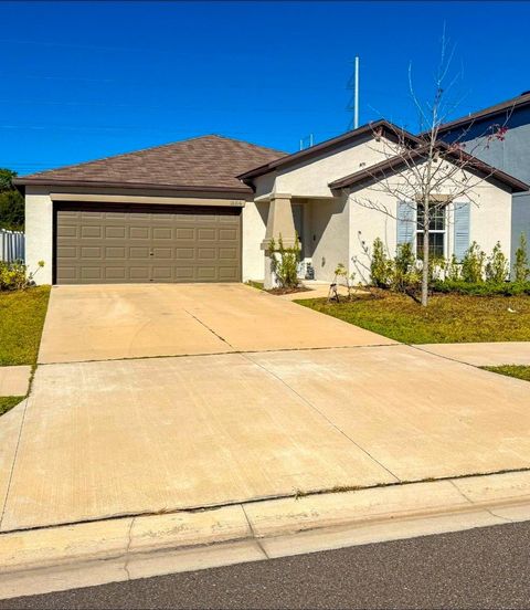 10316 SHADY PRESERVE DRIVE RIVERVIEW FL 33578