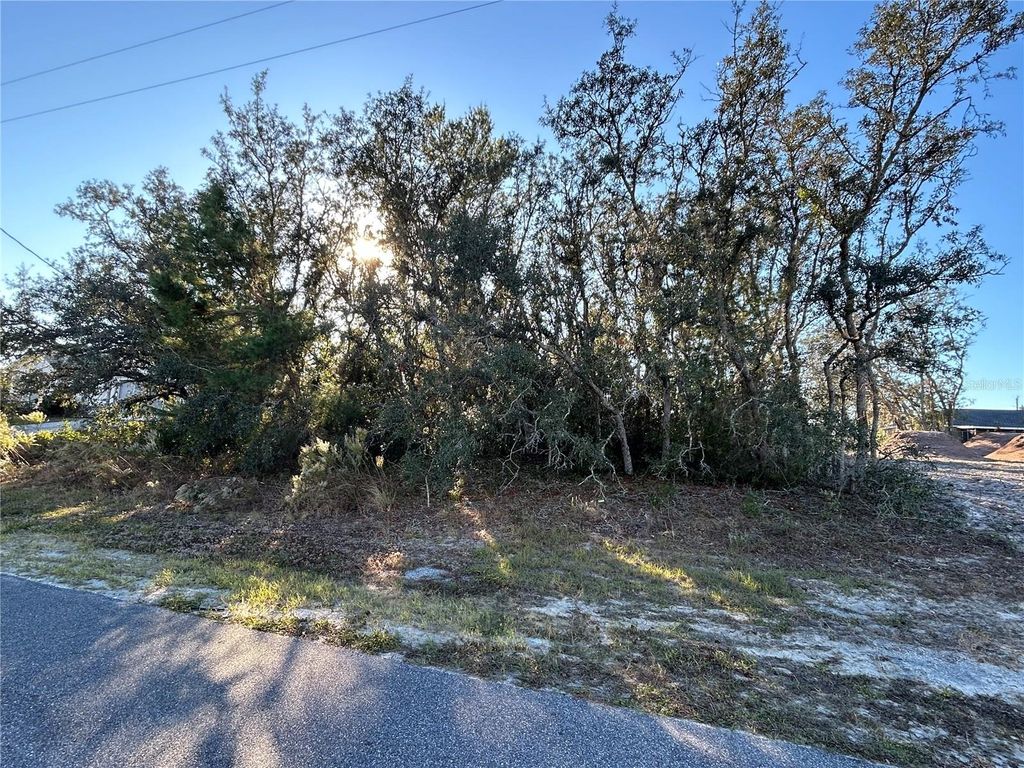 Photo of 0 Amero Lane #13, Spring Hill, FL 34609 (MLS # S5116270)