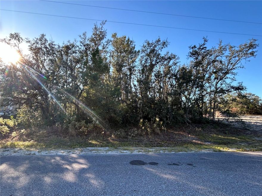 Welcome to Spring Hill!!!  Residential vacant lot located in a convenient road with close access to restaurants, stores, and supermarkets in a quiet neighborhood waiting for you to build your future dream home!!!