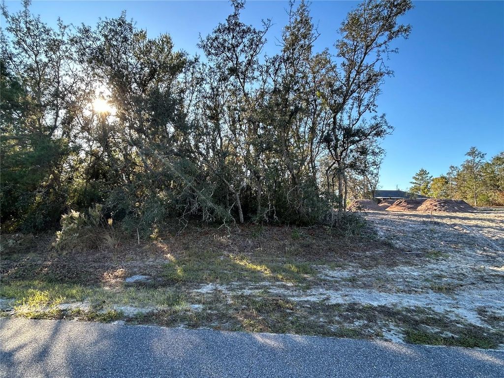 Photo of 0 Amero Lane #13, Spring Hill, FL 34609 (MLS # S5116270)