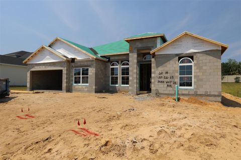 Photo of 3254 Wolf Lake Avenue, Apopka, FL 32712 (MLS # O6398777)