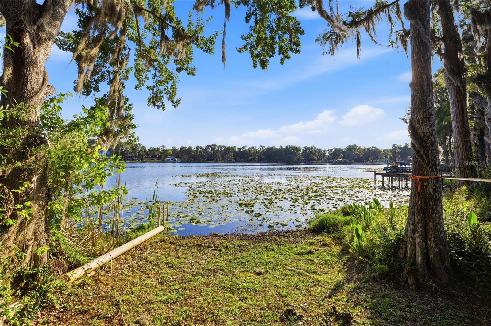 LAKE MINEOLA - Residential