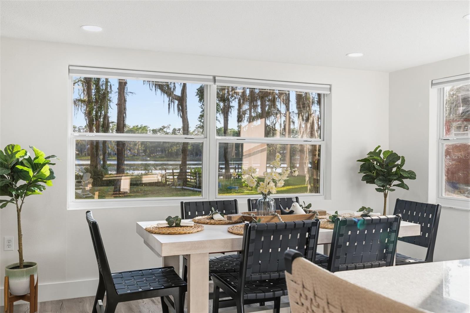 LAKE MINEOLA - Residential