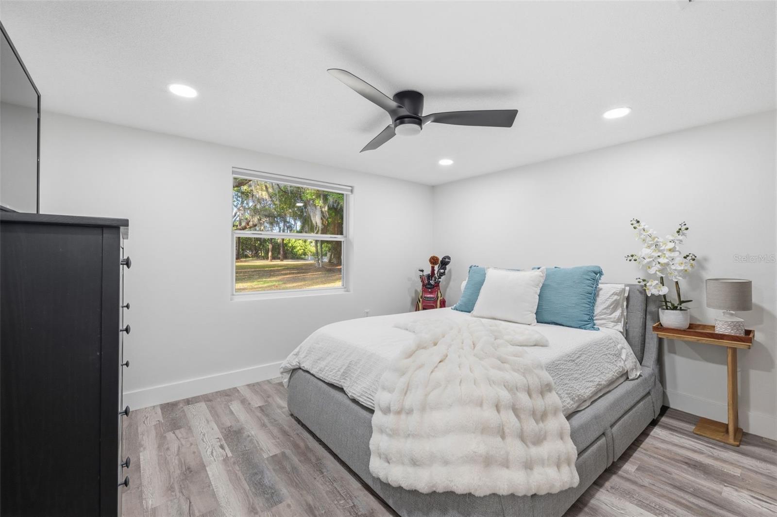 LAKE MINEOLA - Residential