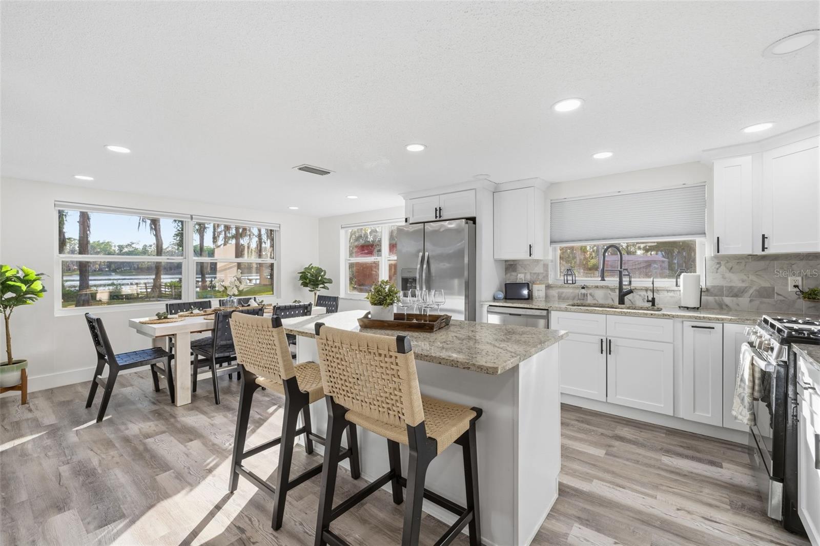 LAKE MINEOLA - Residential