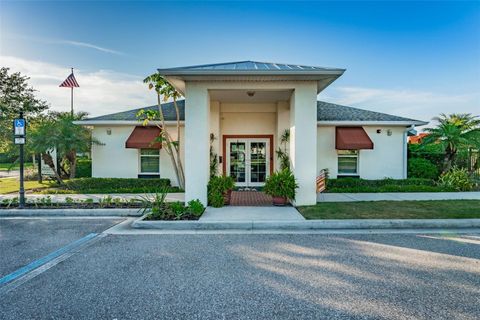 A home in APOLLO BEACH