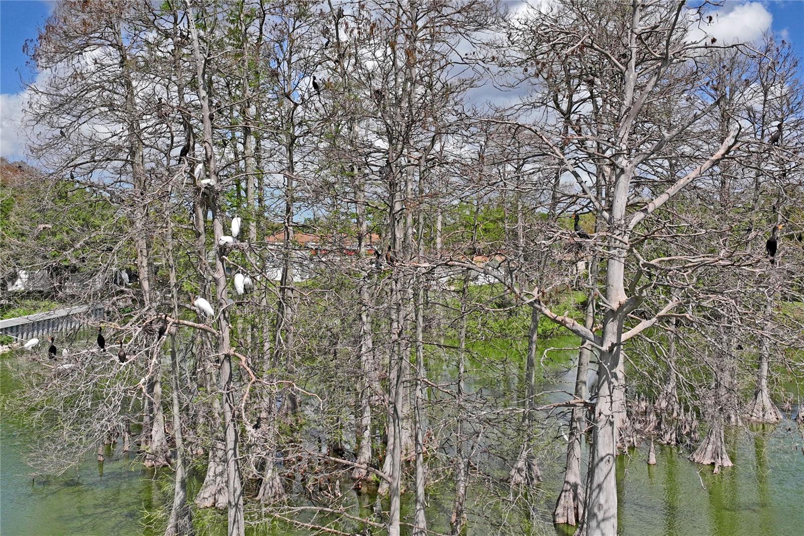 GREENBROOK ESTATES - Residential