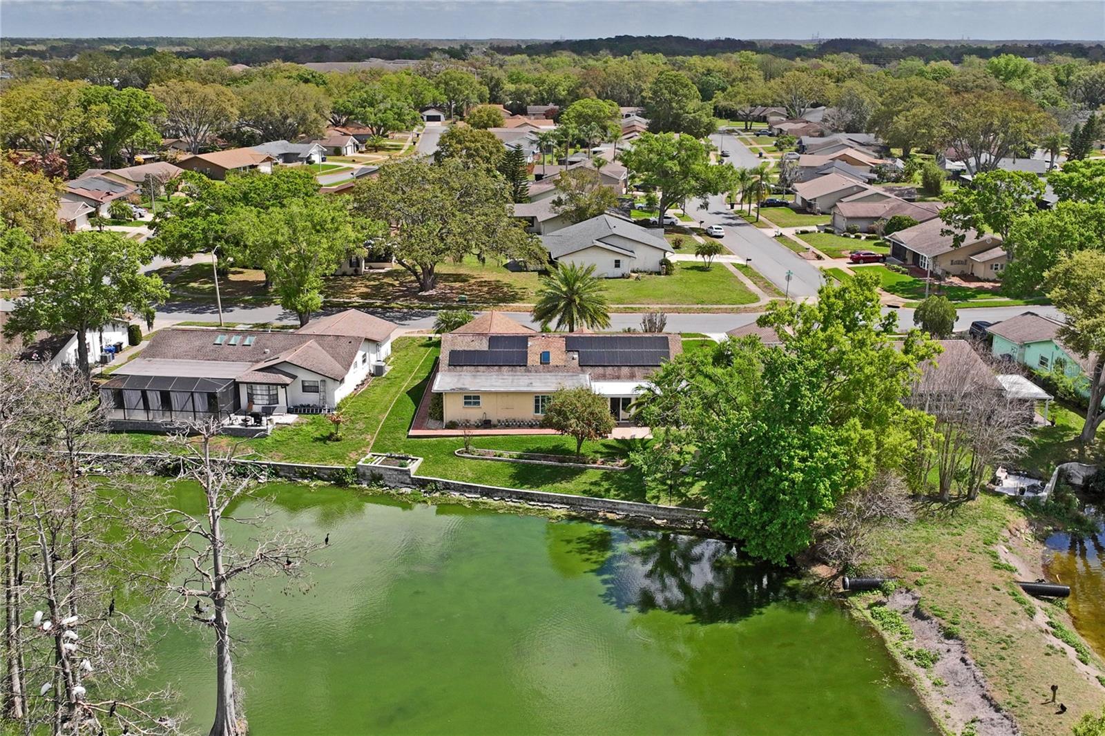 GREENBROOK ESTATES - Residential