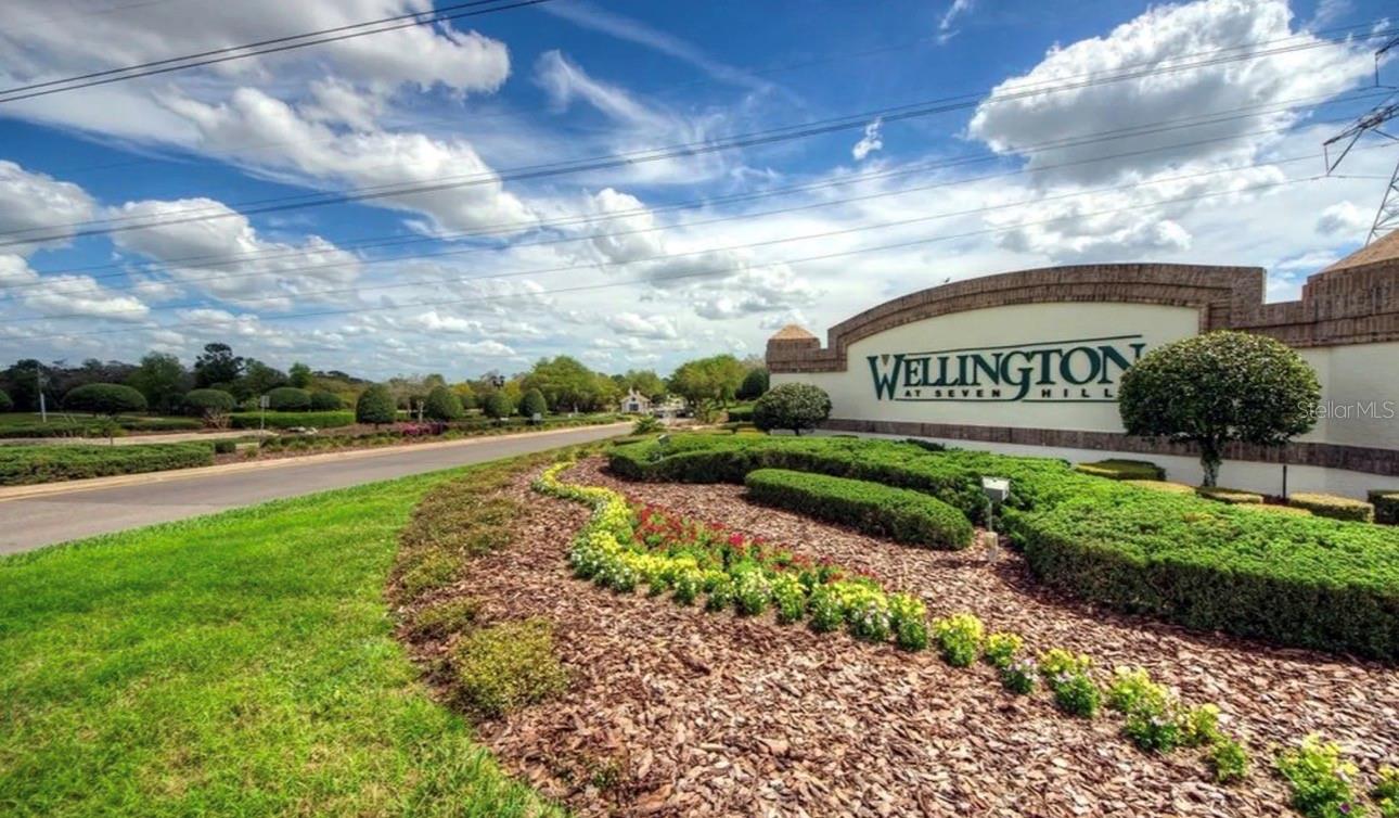 WELLINGTON AT SEVEN HILLS PH5D - Residential