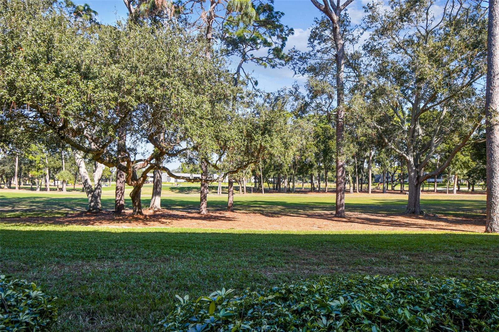 INNISBROOK 08 CONDO - Residential