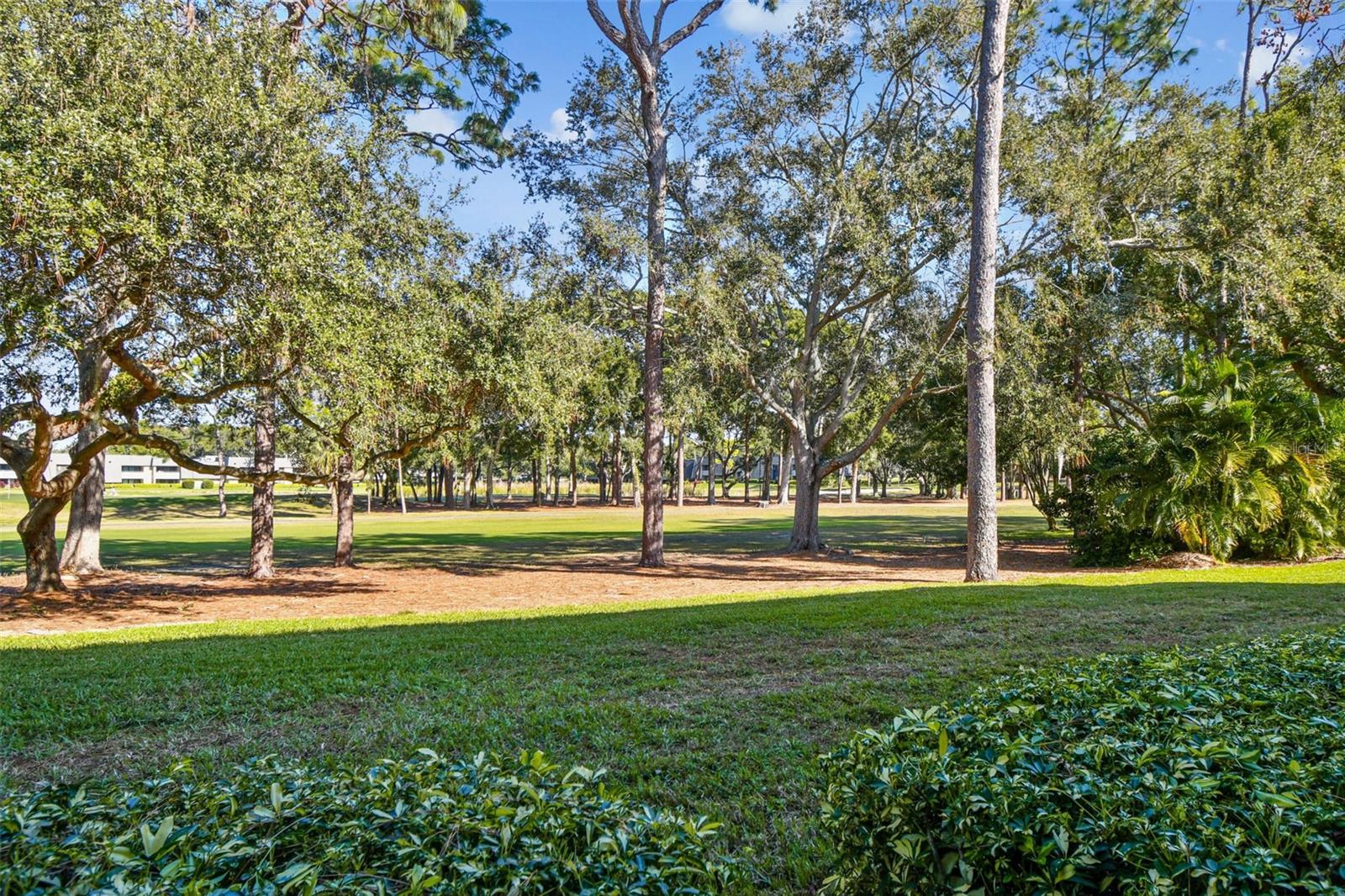 INNISBROOK 08 CONDO - Residential