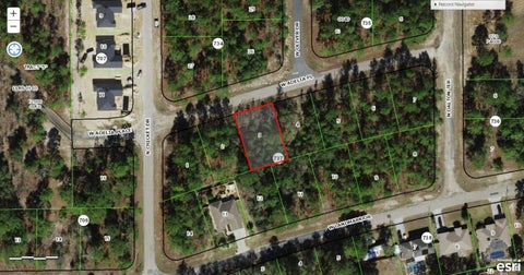 Tiny photo for 1932 W Adelia Place, Citrus Springs, FL 34434 (MLS # O6421104)