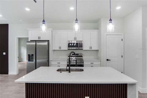 Tiny photo for 1932 W Adelia Place, Citrus Springs, FL 34434 (MLS # O6421104)