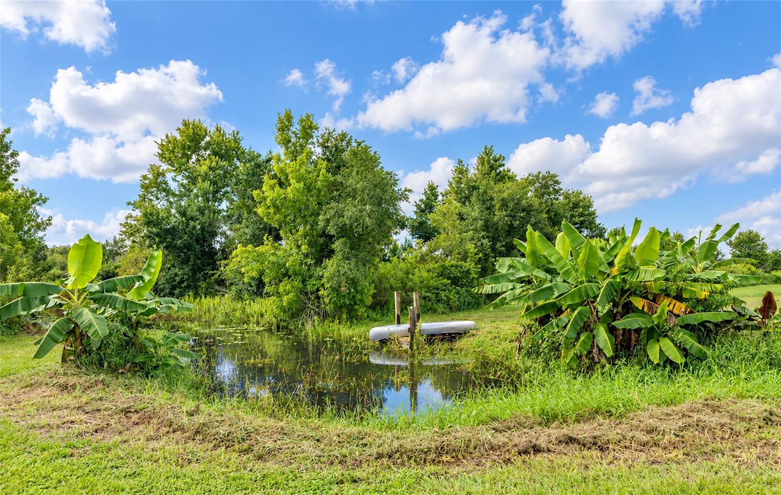 3005 VERNA BETHANY ROAD, MYAKKA CITY, FL, 34251 2 3005 VERNA BETHANY ROAD