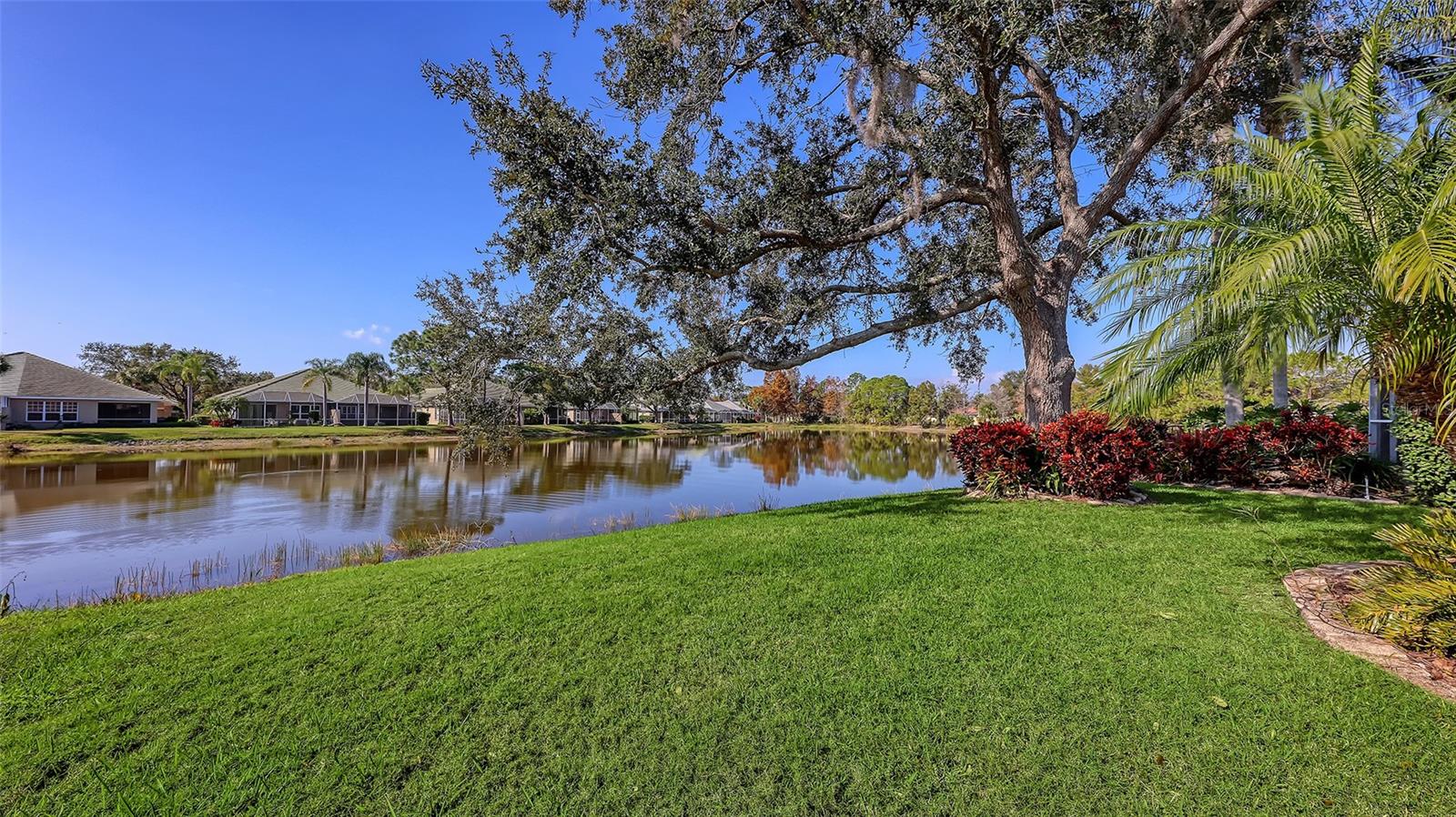 AVALON AT THE VILLAGES OF PALM-AIRE - Residential