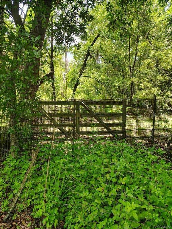 Photo of 5236 N Oldwood Point, Hernando, FL 34442 (MLS # TB8531216)