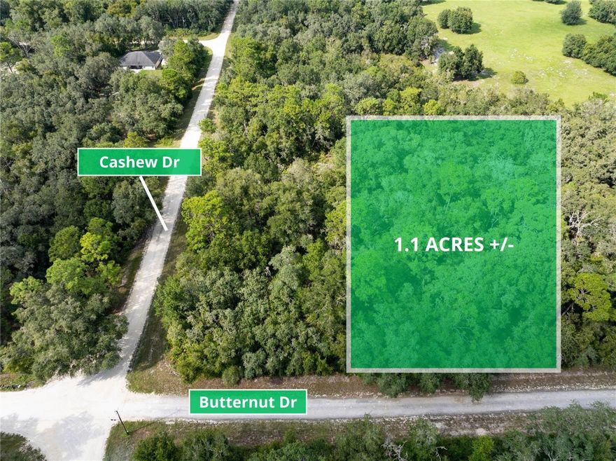 ***The lot next to this one is for sale and owned by the same seller***//IF THE 2 LOTS ARE BOUGHT THE SELLER WILL MAKE A DISCOUNT ON THE SALES PRICE***// Nestled on the serene Butternut Dr in Webster, FL, this stunning 1.1 acre parcel offers the perfect canvas for your dream home. Surrounded by lush nature and towering trees, you'll enjoy peace and tranquility in one of Hernando County's most sought-after areas. This prime location allows for endless outdoor activities and is just a short drive from the charming town of Brooksville, where you can soak in the beauty of country living. Don’t miss out on this exceptional opportunity to create your own paradise in the heart of Florida!