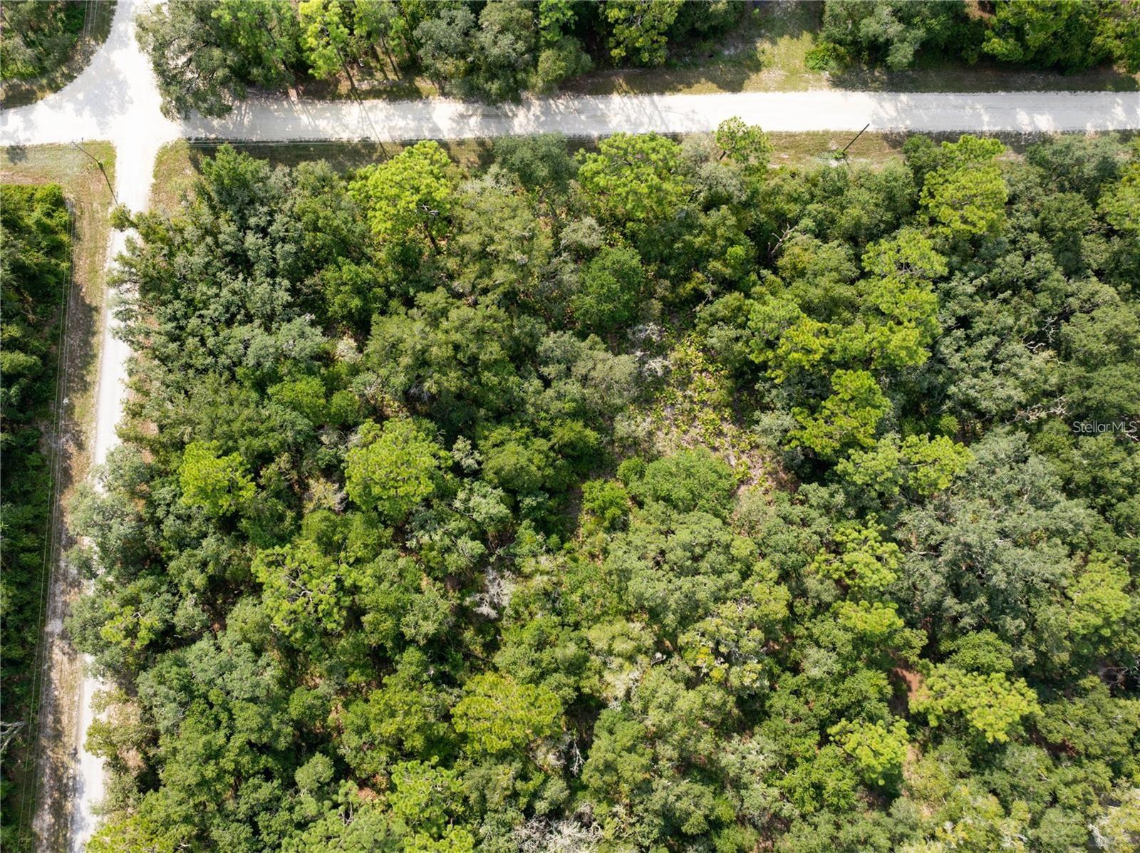 RIDGE MANOR ESTATE - Land