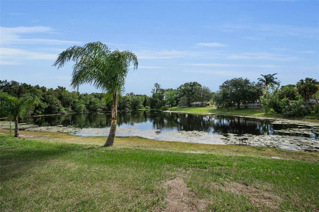Photo of 409 Graham Drive, Clearwater, FL 33765 (MLS # TB8502454)