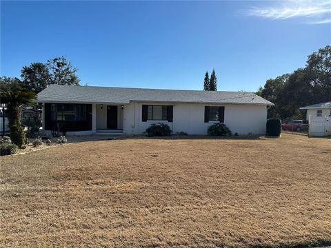 Photo of 29 Volusia Drive, Debary, FL 32713 (MLS # O6375006)