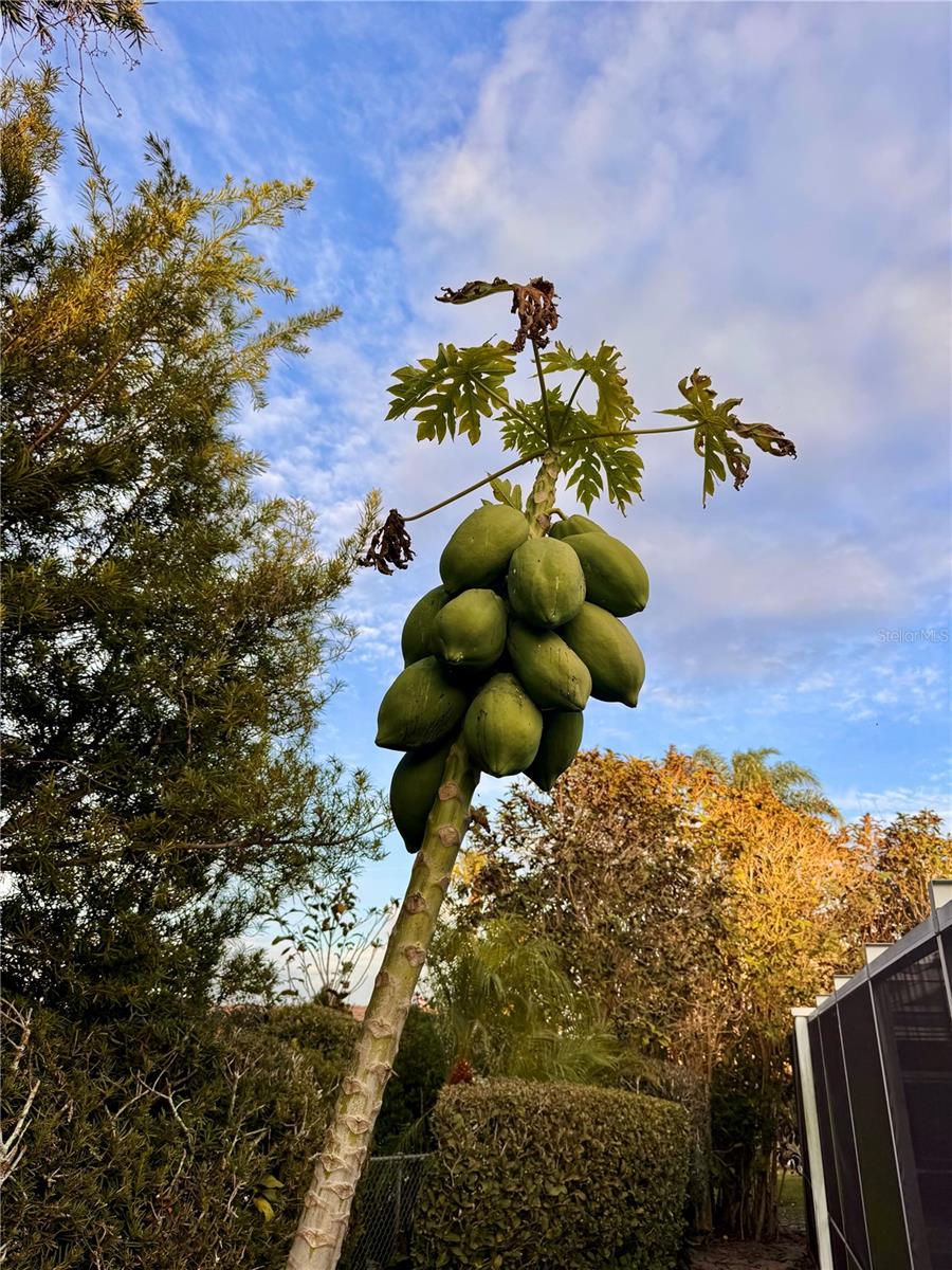 LAKE POINT - Residential