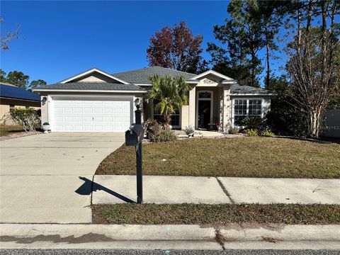 A home in PALM COAST