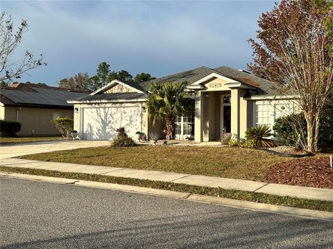 A home in PALM COAST