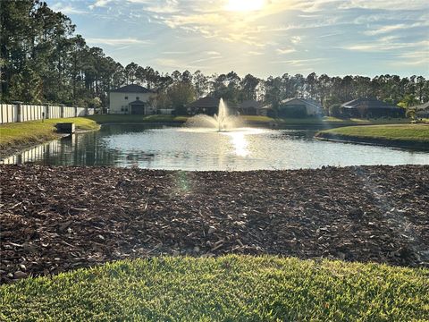 A home in PALM COAST