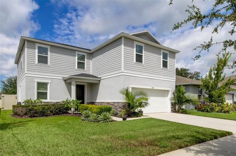 A home in RIVERVIEW