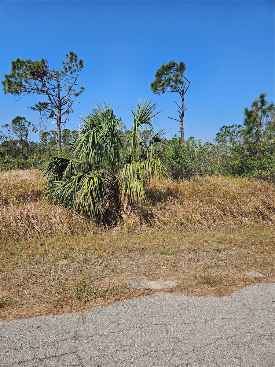 North Port is growing. **BRING OFFERS** Buy Land, they are not making anymore of it! Great Price for your future investment of land zoned AC10, allowing commercial developments, industrial, restaurants, office buildings, food truck parks, stores, multi-family/duplexes and more. Boasting proximity to I-75, this location ensures a seamless commute to both Sarasota and Fort Myers, making daily travel a convenient and efficient experience.  A short drive to our local beaches. Located near shopping, dining, hospitals, Allegiant Airline's SunSeeker Resort, Warm Mineral Springs Spa, Atlanta Braves "Cool Today" Baseball Stadium.
Information is deemed accurate, but not guaranteed. Buyer/Buyer's agent to verify accuracy of measurements, environmental issues, utilities, building codes and restrictions, etc.
