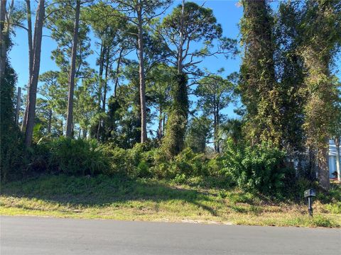 2512 FERN PALM DRIVE EDGEWATER FL 32141