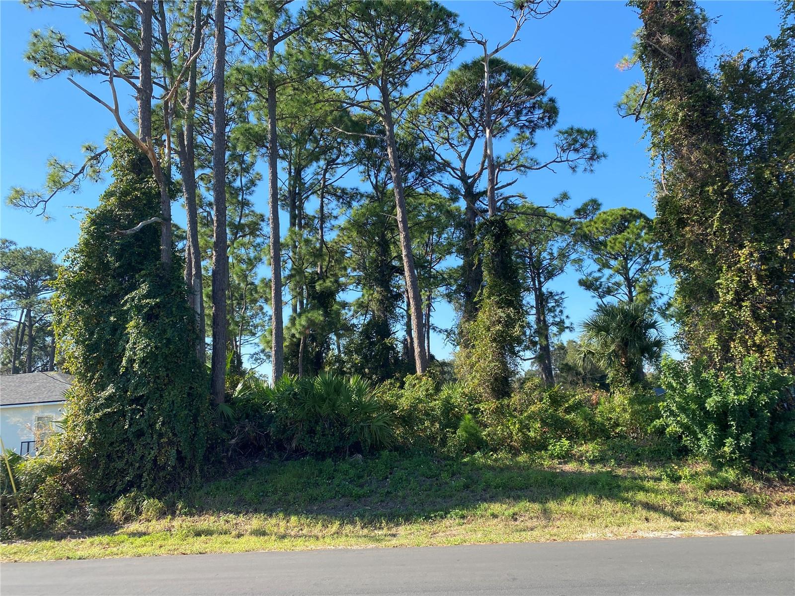 2512 FERN PALM DRIVE