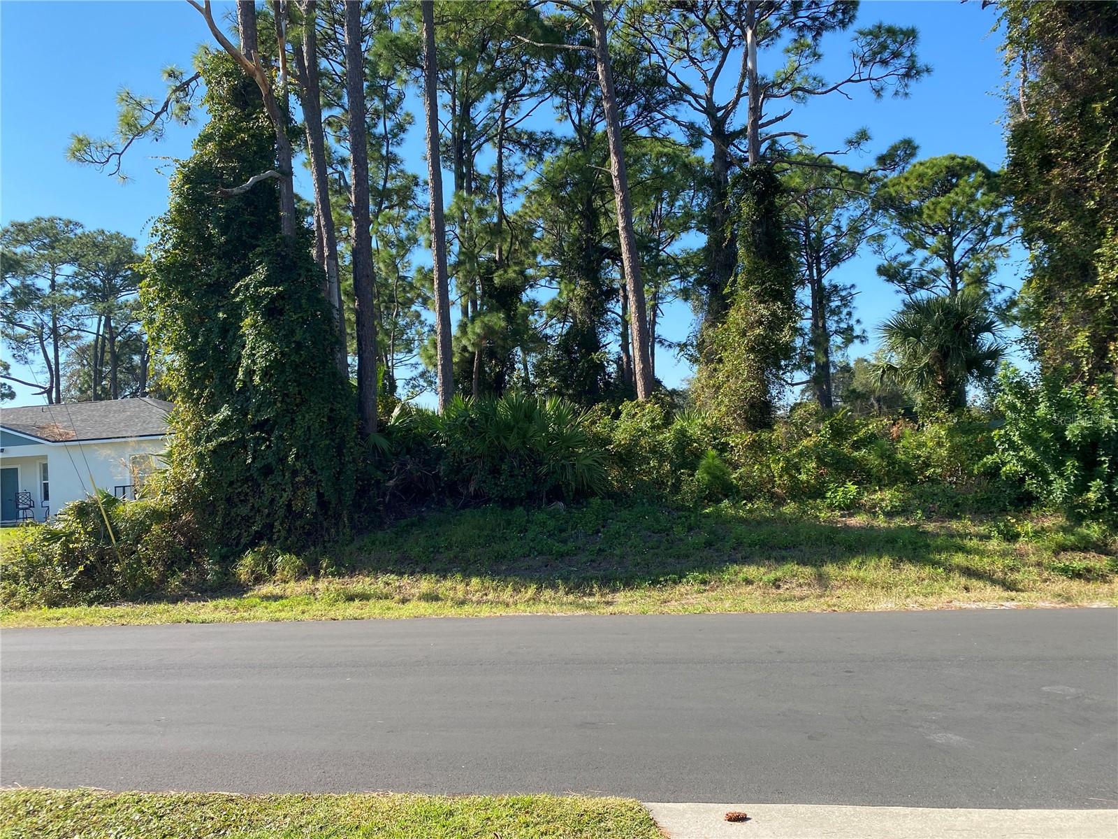 2512 FERN PALM DRIVE