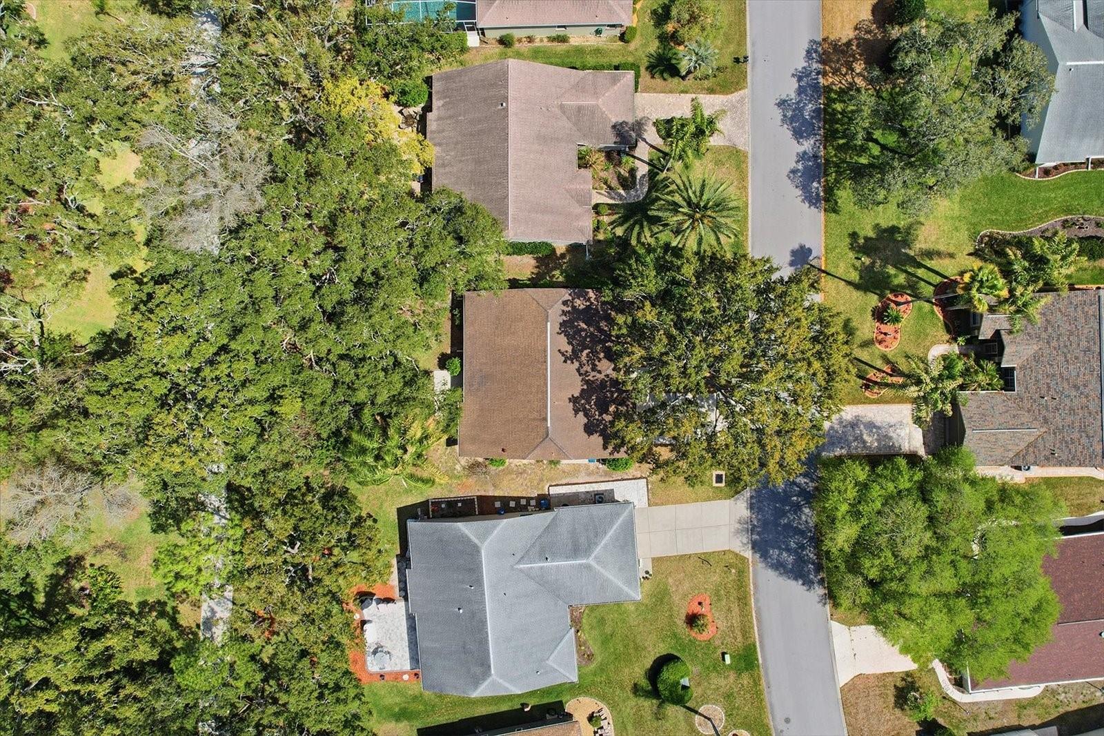 TIMBER PINES - Residential