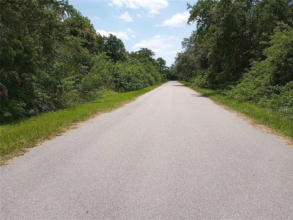 Photo of 12480 Hollow Avenue, Port Charlotte, FL 33953 (MLS # O6377886)