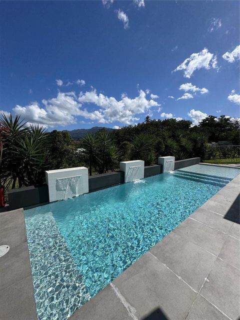 41 SAN PEDRITO SUR RIO GRANDE  00745