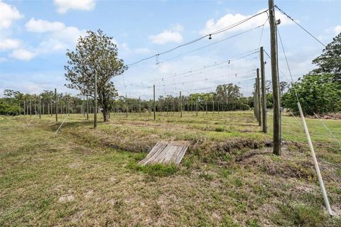 A home in BROOKSVILLE