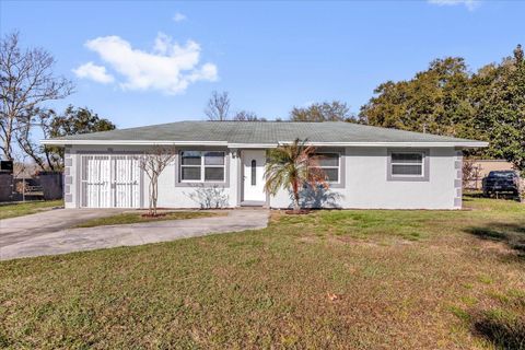 3808 MOHAWK DRIVE MOUNT DORA FL 32757