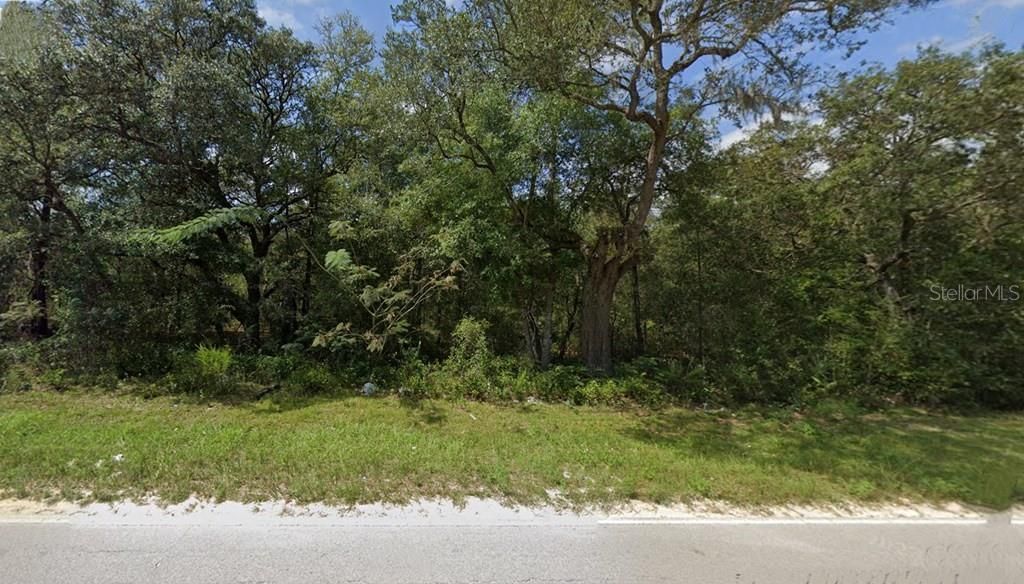 Photo of Lot 102 NE 118th Terrace, Bronson, FL 32621 (MLS # GC535677)
