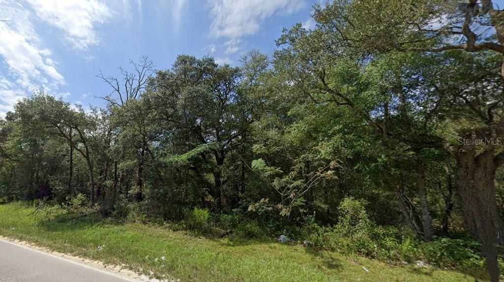 Photo of Lot 102 NE 118th Terrace, Bronson, FL 32621 (MLS # GC535677)